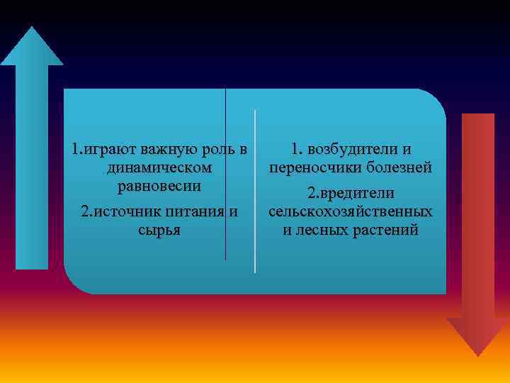 1. играют важную роль в динамическом равновесии 2. источник питания и сырья 1. возбудители