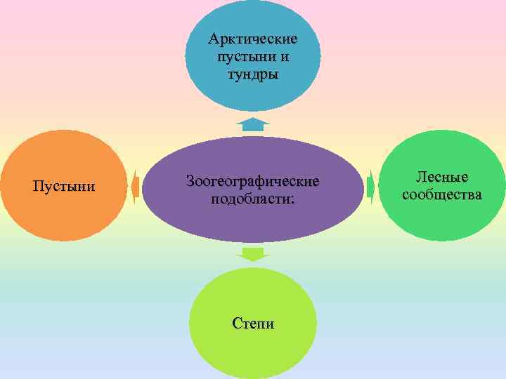 Арктические пустыни и тундры Пустыни Зоогеографические подобласти: Степи Лесные сообщества 