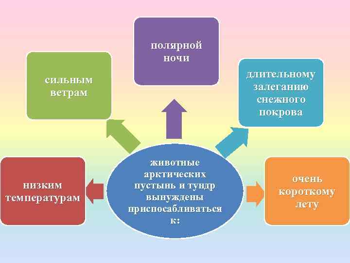 полярной ночи длительному залеганию снежного покрова сильным ветрам низким температурам животные арктических пустынь и