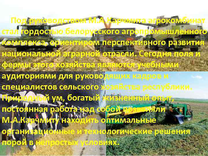    Под руководством М. А. Карчмита агрокомбинат  стал гордостью белорусского агропромышленного