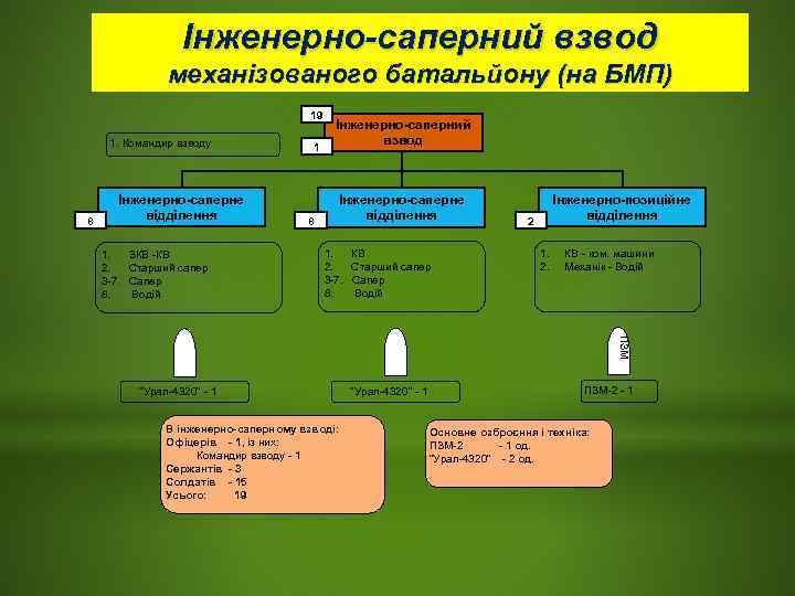    Інженерно-саперний взвод    механізованого батальйону (на БМП)  