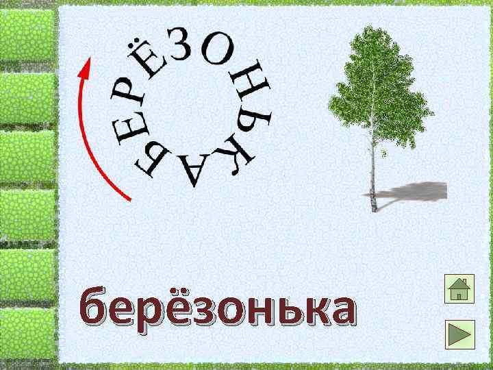 берёзонька 