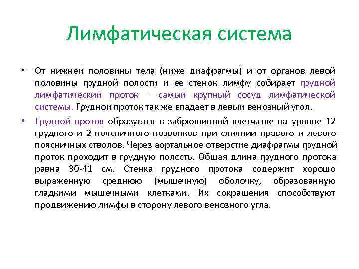    Лимфатическая система • От нижней половины тела (ниже диафрагмы) и от