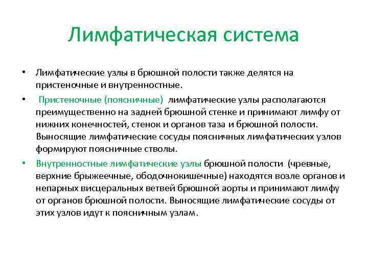    Лимфатическая система • Лимфатические узлы в брюшной полости также делятся на