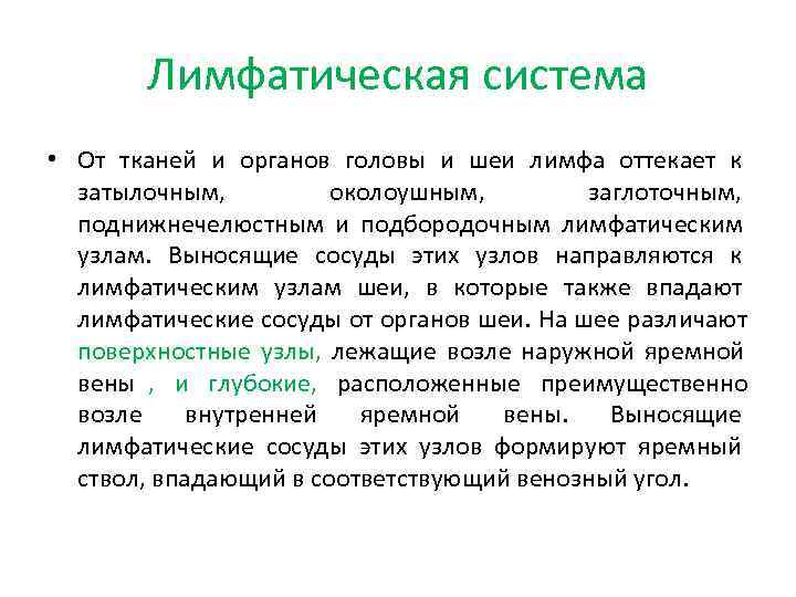   Лимфатическая система • От тканей и органов головы и шеи лимфа оттекает