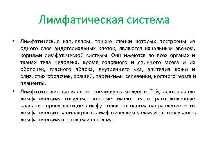    Лимфатическая система • Лимфатические капилляры, тонкие стенки которых построены из 
