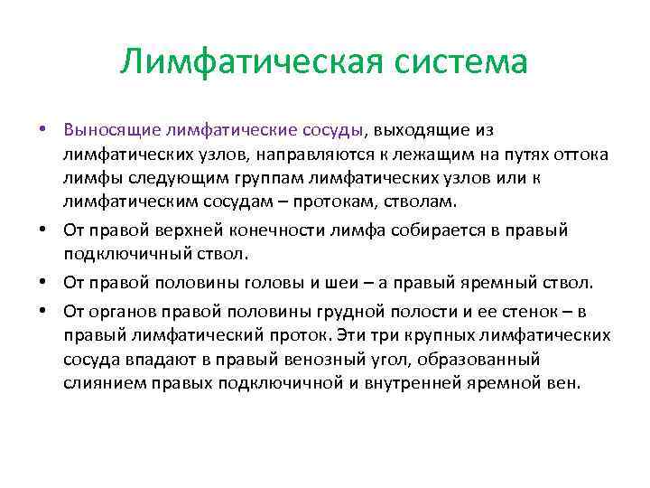  Лимфатическая система • Выносящие лимфатические сосуды, выходящие из  лимфатических узлов, направляются