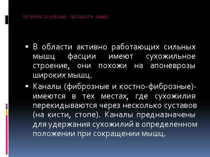 Вспомогательные аппараты мышц  В области активно работающих сильных  мышц фасции имеют сухожильное
