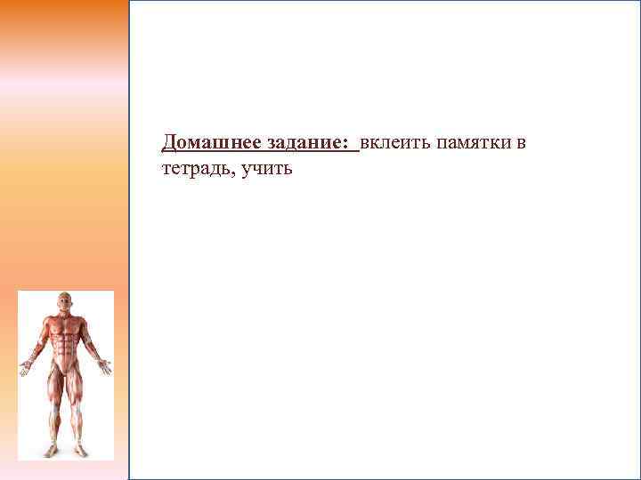 Домашнее задание: вклеить памятки в тетрадь, учить 