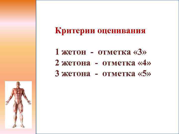 Критерии оценивания 1 жетон - отметка « 3» 2 жетона - отметка « 4»