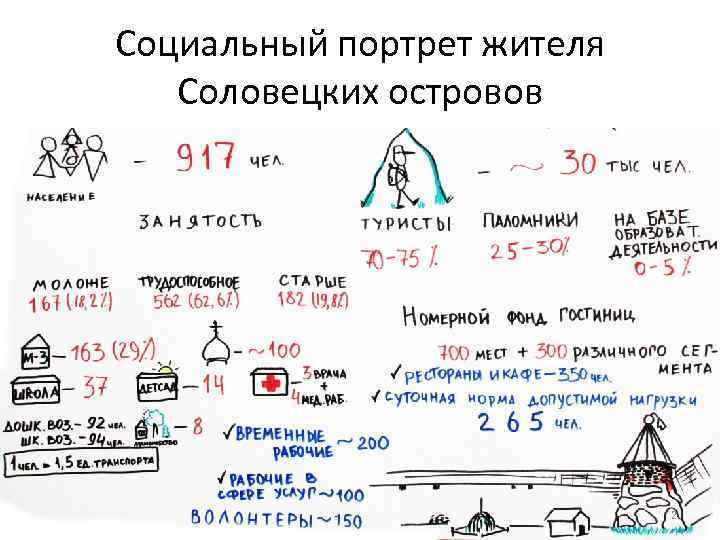 Социальный портрет жителя  Соловецких островов       2 