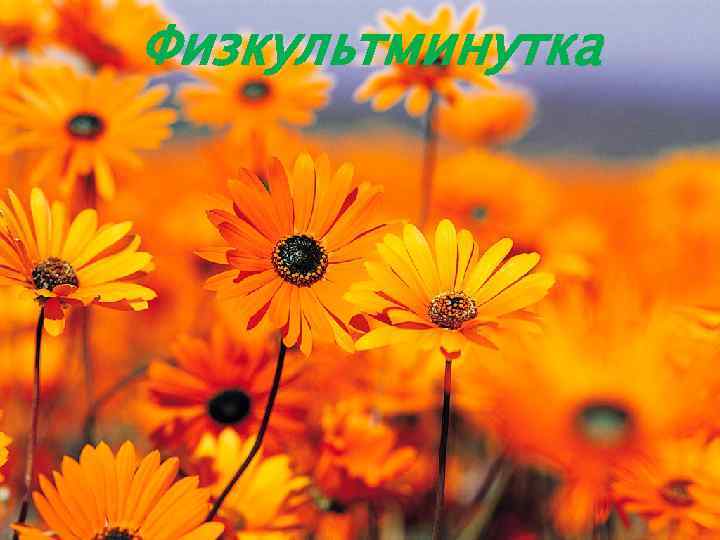 Физкультминутка 