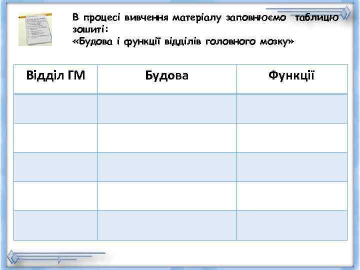  В процесі вивчення матеріалу заповнюємо таблицю  зошиті:   «Будова і функції