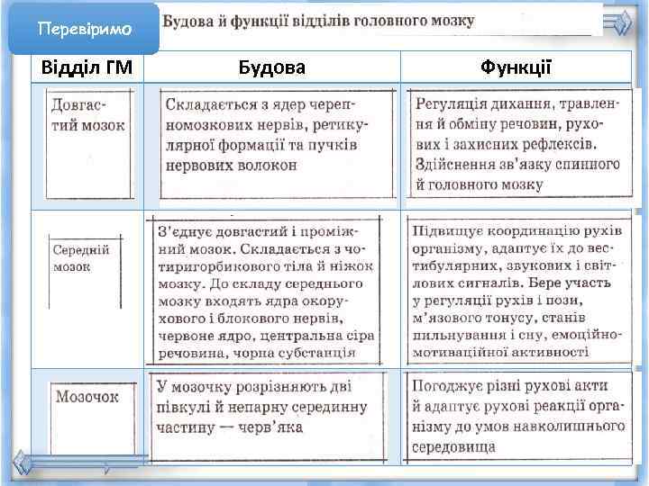 Перевіримо Відділ ГМ  Будова  Функції 