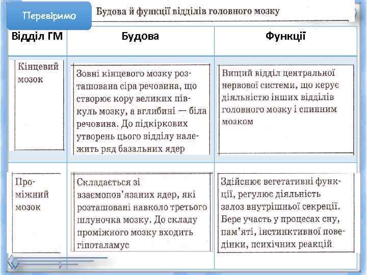  Перевіримо Відділ ГМ Будова  Функції 