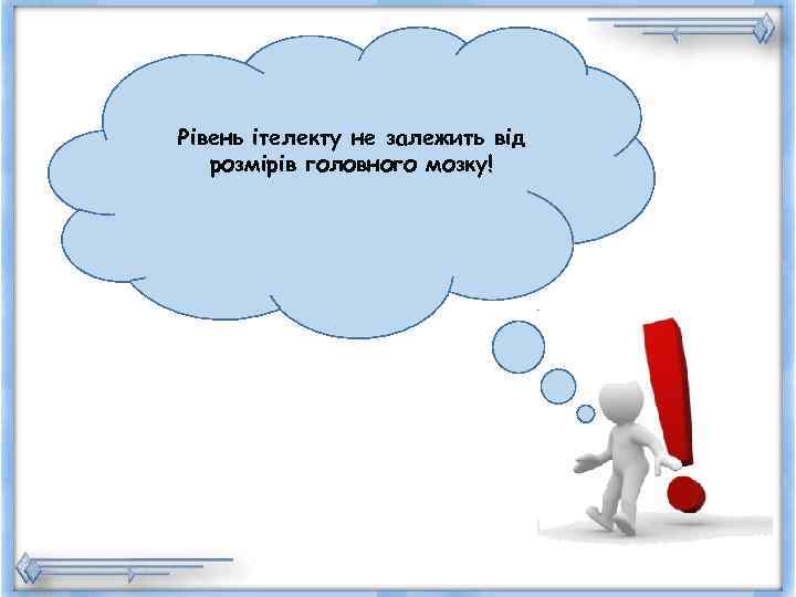 Рівень ітелекту не залежить від  розмірів головного мозку! 