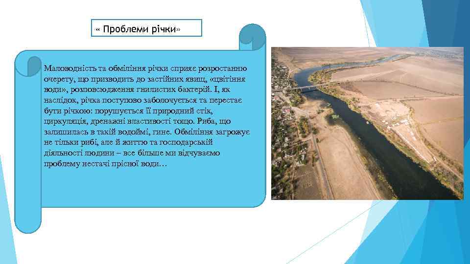    « Проблеми річки»  Маловодність та обміління річки сприяє розростанню очерету,