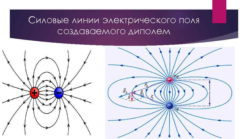 Силовые линии электрического поля создаваемого диполем 