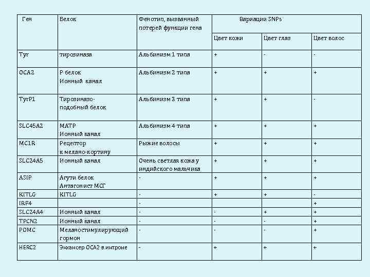 Ген  Белок     Фенотип, вызванный  Вариации SNPs  