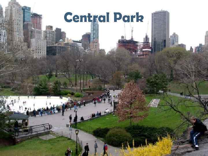 Central Park 