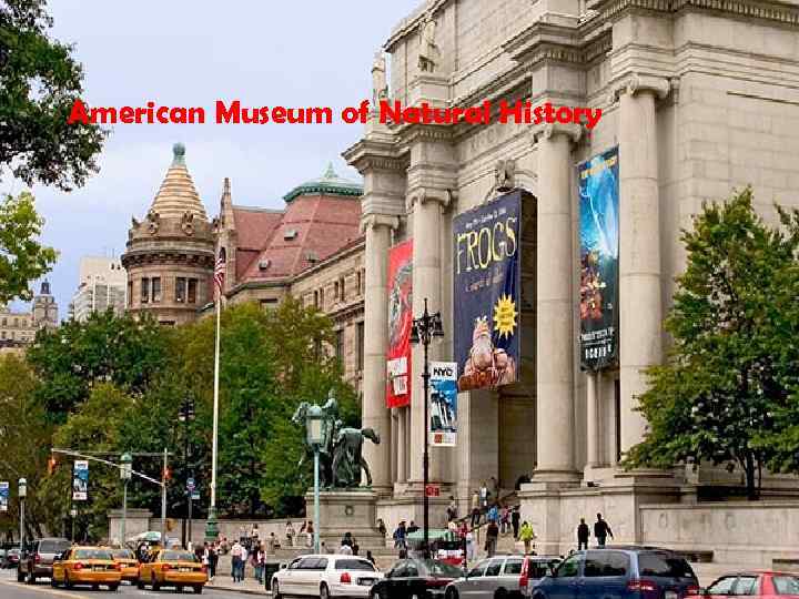 American Museum of Natural History 