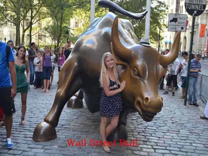 Wall Street Bull 