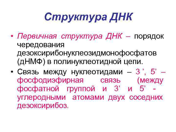    Структура ДНК • Первичная структура ДНК  – порядок  чередования