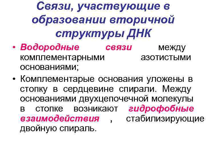  Связи, участвующие в образовании вторичной   структуры ДНК • Водородные  