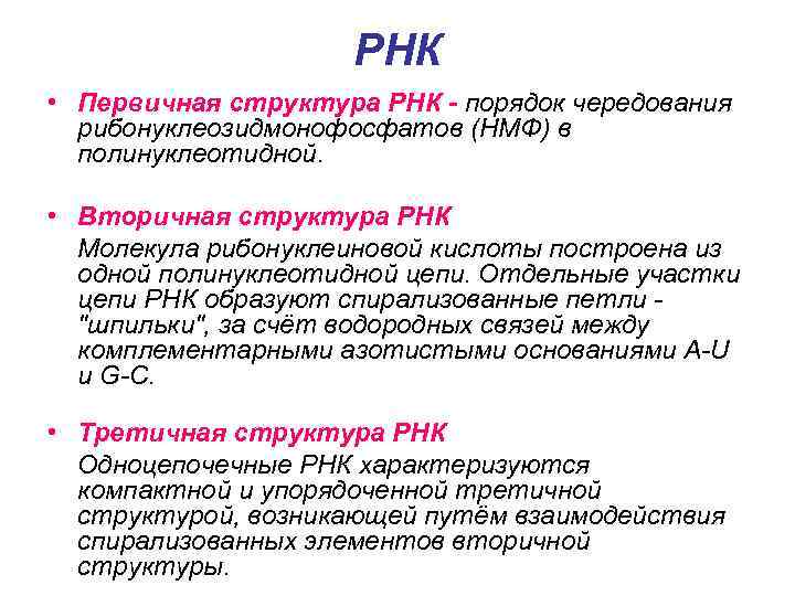      РНК • Первичная структура РНК - порядок чередования 