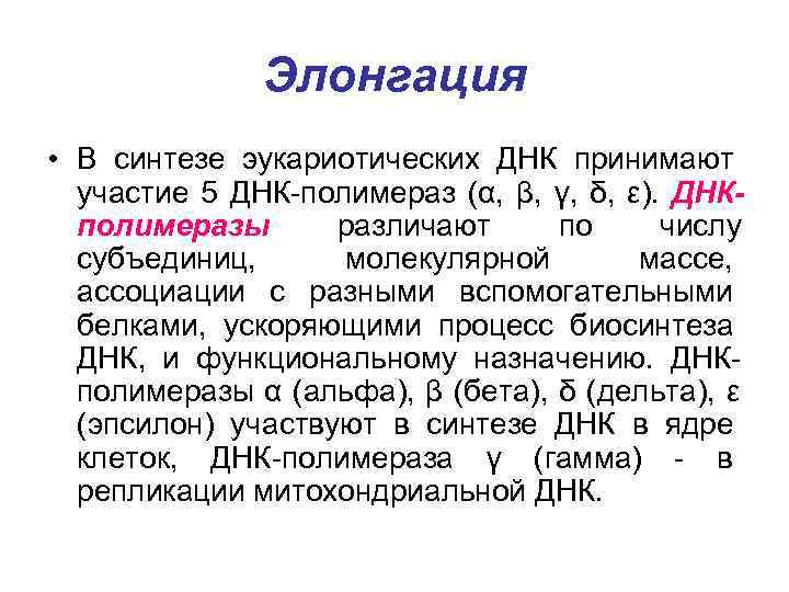     Элонгация • В синтезе эукариотических ДНК принимают  участие 5