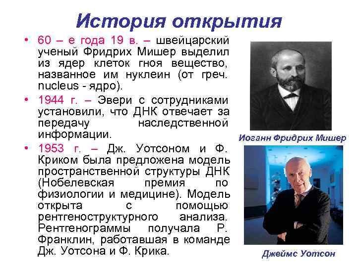    История открытия • 60 – е года 19 в.  –