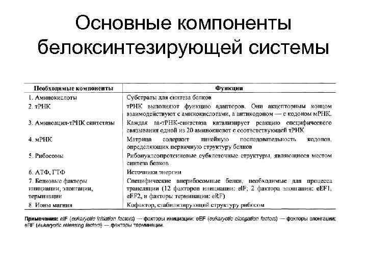   Основные компоненты белоксинтезирующей системы 