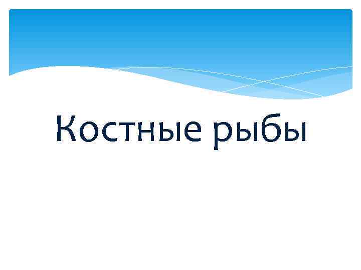 Костные рыбы 