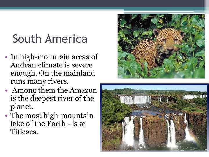  South America • In high-mountain areas of  Andean climate is severe 