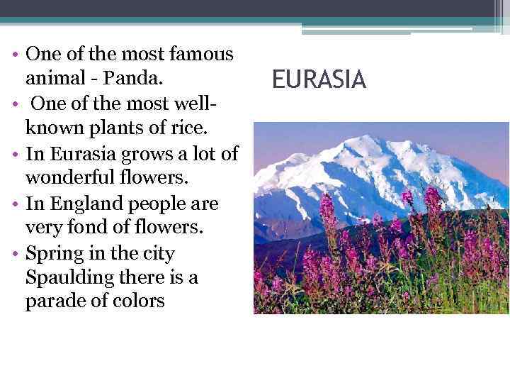  • One of the most famous  animal - Panda.   EURASIA