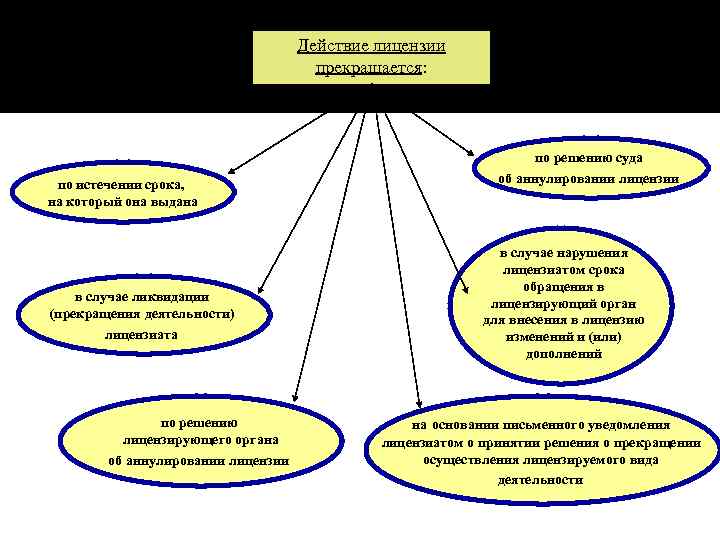       Действие лицензии    прекращается:  