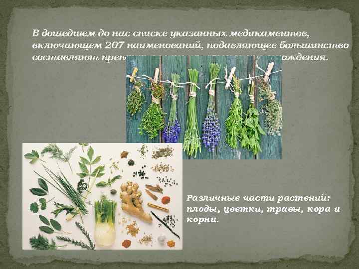 В дошедшем до нас списке указанных медикаментов, включающем 207 наименований, подавляющее большинство составляют препараты