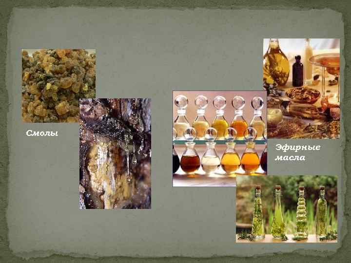 Смолы   Эфирные   масла 