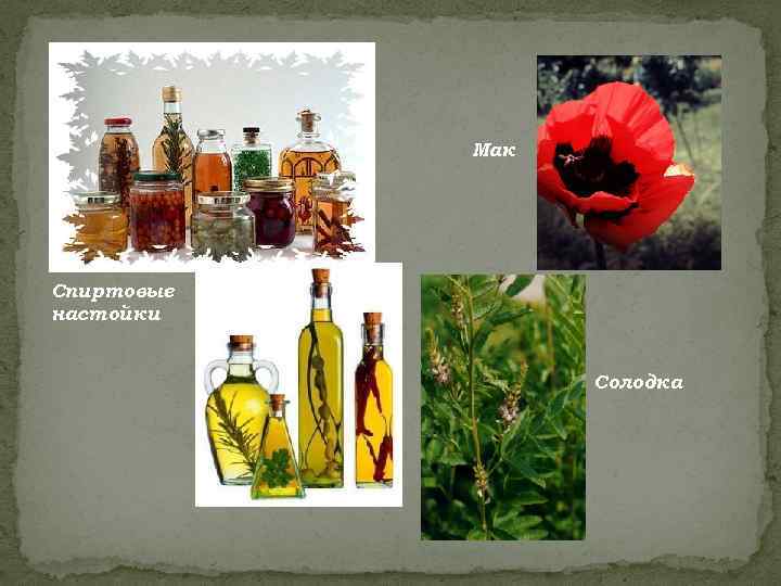   Мак Спиртовые настойки     Солодка 