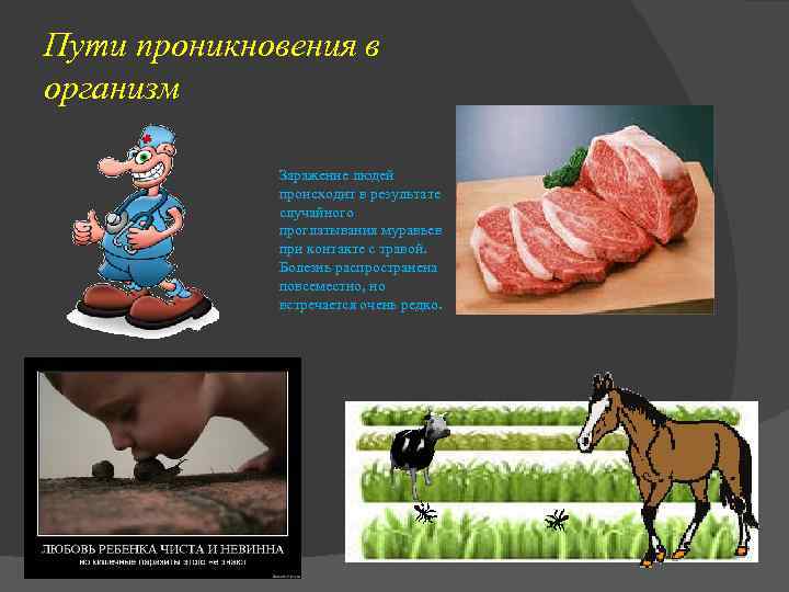 Пути проникновения в организм    Заражение людей   происходит в результате