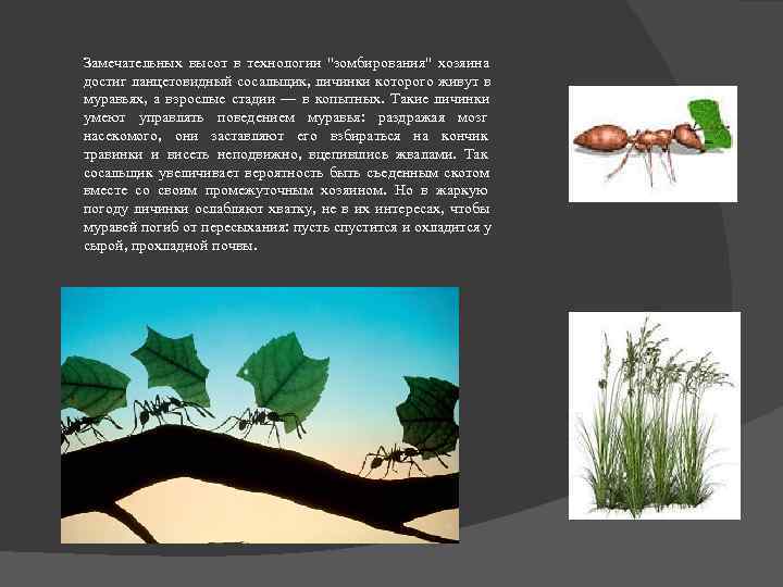 Замечательных высот в технологии 