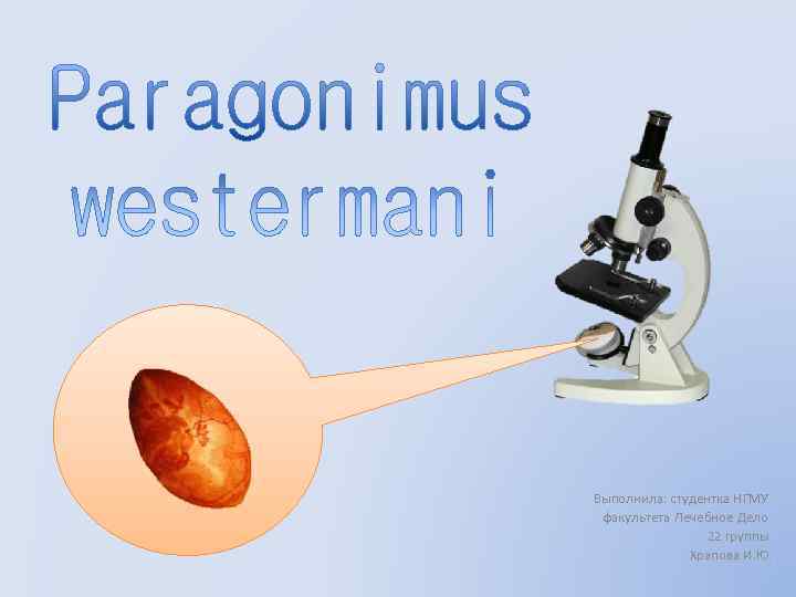 Выполнила: студентка НГМУ факультета Лечебное Дело   22 группы    Храпова
