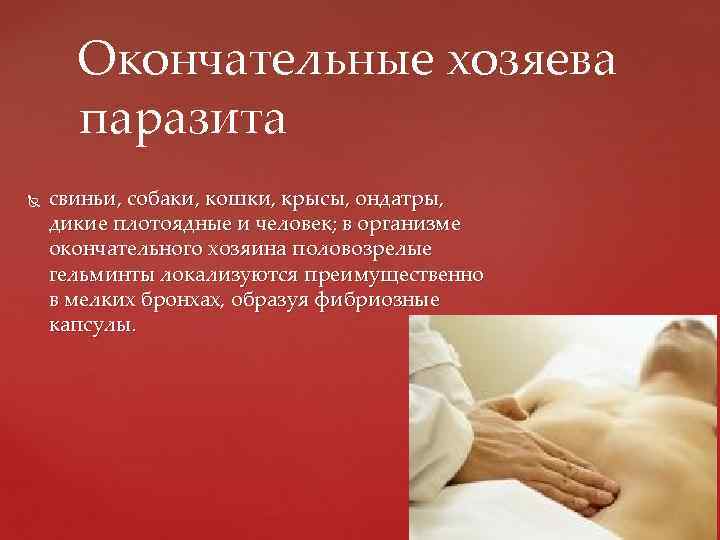  Окончательные хозяева  паразита свиньи, собаки, кошки, крысы, ондатры, дикие плотоядные и человек;