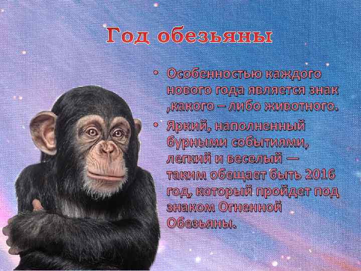  • Особенностью каждого  нового года является знак  , какого – либо