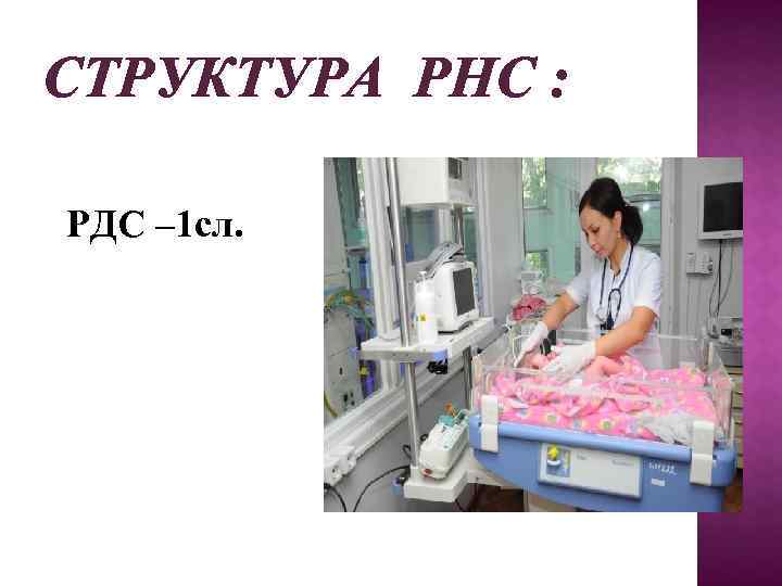 СТРУКТУРА РНС :  РДС – 1 сл. 