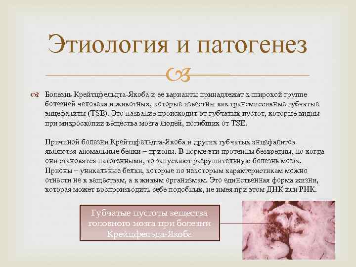   Этиология и патогенез   Болезнь Крейтцфельдта-Якоба и ее варианты принадлежат к