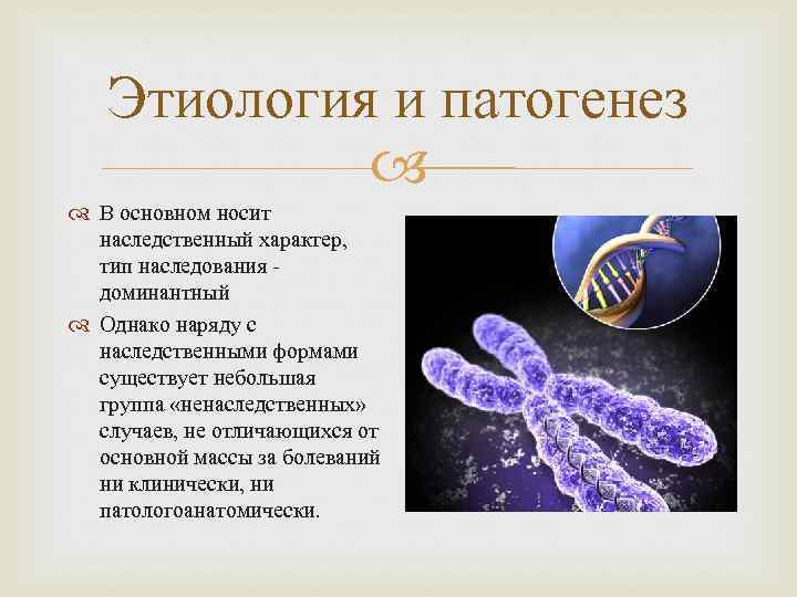   Этиология и патогенез   В основном носит  наследственный характер, тип
