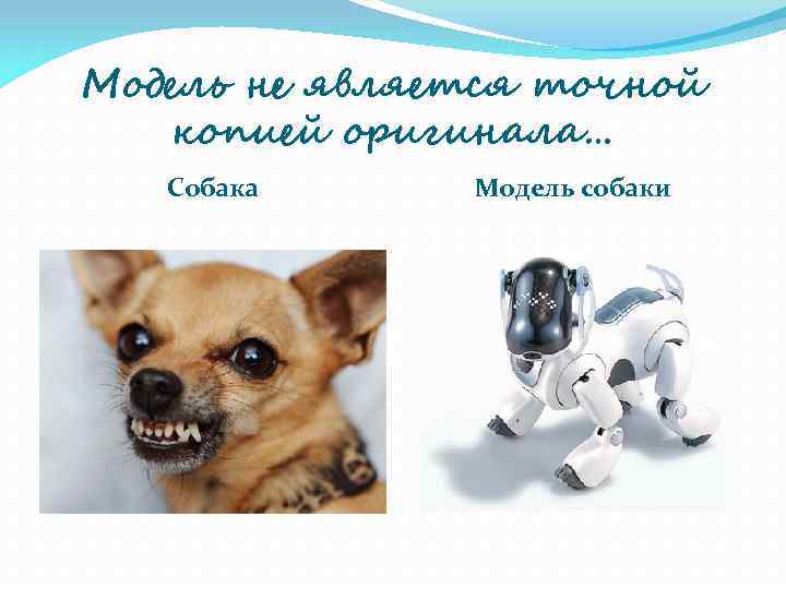 Модель не является точной  копией оригинала…  Собака Модель собаки 