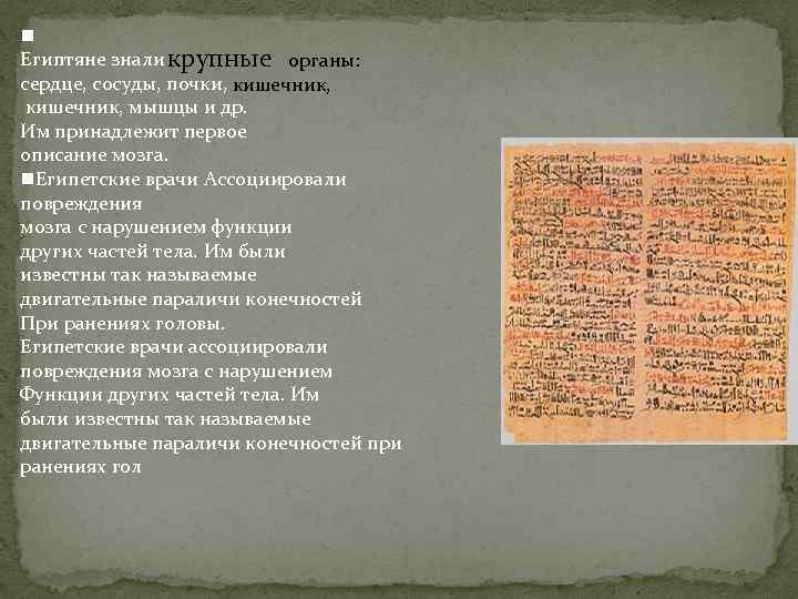 Египтяне знали крупные органы: сердце, сосуды, почки, кишечник, мышцы и др. Им принадлежит