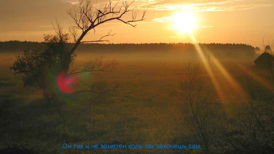 Он тих и не заметен коль так захочешь сам, 